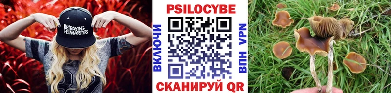 хочу наркоту  Лысково  Псилоцибиновые грибы мицелий 